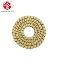 Diamond Hard Resin Bonded 10" polishing pads